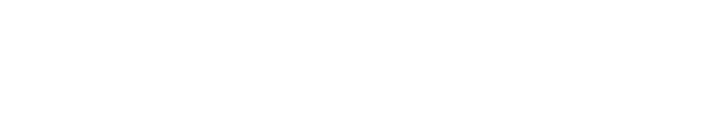 Domain Logo